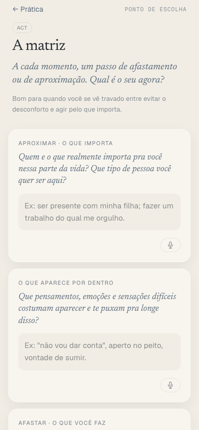 A matriz da ACT